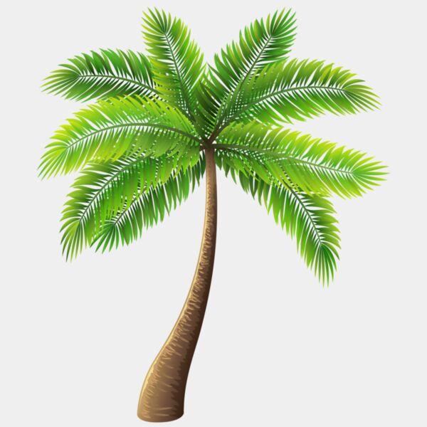 Palm Tree Thumbnail