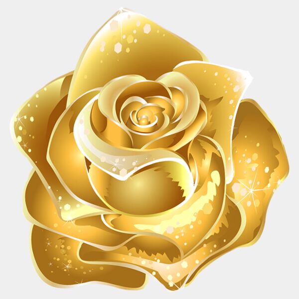 gold rose Thumbnail